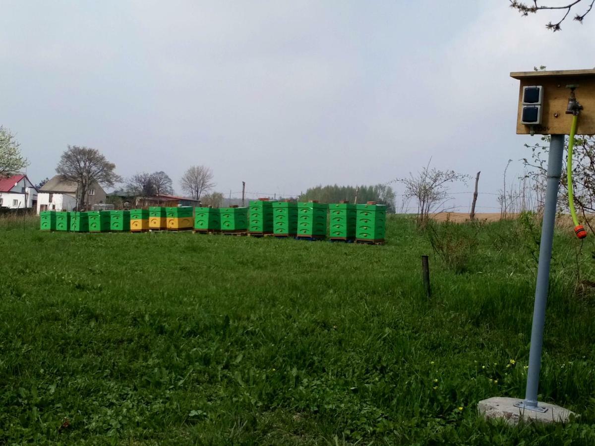 Gospodarstwo U Krakusa Doboszowice Extérieur photo